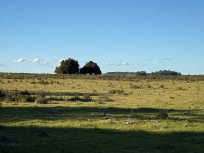 Campo en Venta en  Rocha,  Excelente ubicación, con arroyo, mejorado