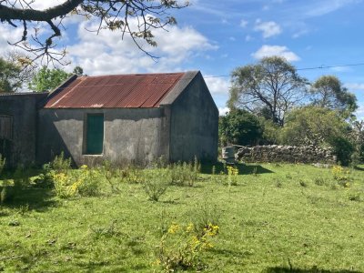 Venta de Campo en Rocha 127 has campo ganadero