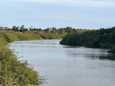 100 hás con costa ARROYO  navegable y acceso sobre Ruta 
