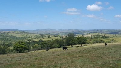 Campo en Maldonado, a 55 km de Punta del Este