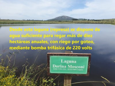 Fracción de campo de 32 hás con gran inversión a pocos km  de Piriápolis
