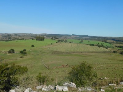 Venta de Campo en Ruta 12 próximo a Pueblo Edén 270 hás