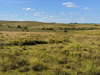 Venta de campo en Rocha, a pocos km de Garzón y de ciudad de Rocha