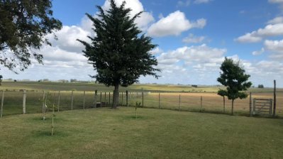 Campo  Ganadero en Florida, casi 100 hás 
