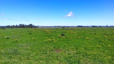 Campo en Uruguay, Maldonado, al norte de José Ignacio