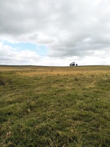 Venta de Campo en Rocha, a 10 min de La Paloma
