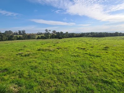 Rocha, campo con casco antiguo 400  hás