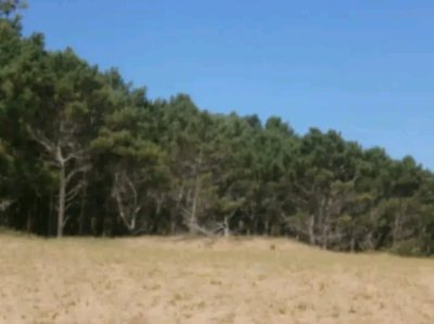 Venta de 38 hás sobre la costa de Rocha