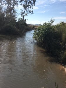 Rocha, venta de campo 160 has ganadero