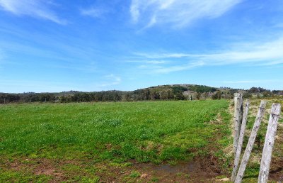 Campo en Venta en zona de Ruta 12 44 hás