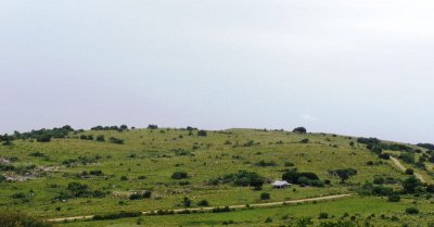 Chacra de 8 has en zona de Garzón