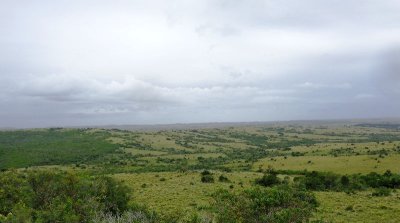 Excelente fracción en Garzón, 37 hás, cañaditas
