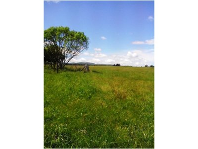 Campo en Uruguay - Maldonado - Cerros Azules Excelente fracción con 90 hás  de buen campo