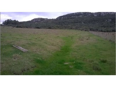 Campo en Venta en  Maldonado