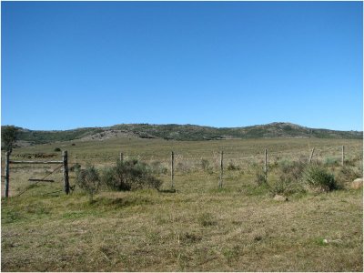 Campo en Venta en  Maldonado