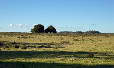 Campo en Venta en  Rocha,  Excelente ubicación, con arroyo, mejorado