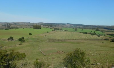 Venta de Campo en Ruta 12 próximo a Pueblo Edén 270 hás