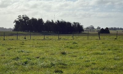 Venta de Excelente Fracción 130 has Las Garzas