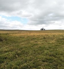 Campo en Rocha, a 10 min de La Paloma