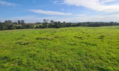 Rocha, campo con casco antiguo 400  hás