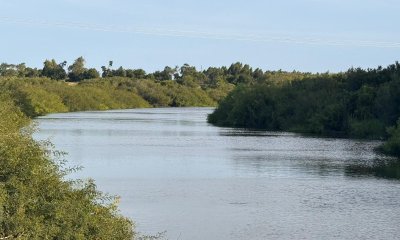 campo de 50 hás con costa arroyo navegable y acceso sobre ruta