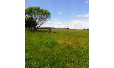 Campo en Uruguay - Maldonado - Cerros Azules Excelente fracción con 90 hás  de buen campo