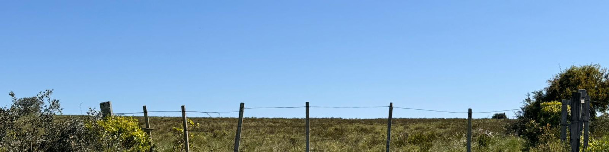 Venta de campo  en Rocha 195 has con arroyo