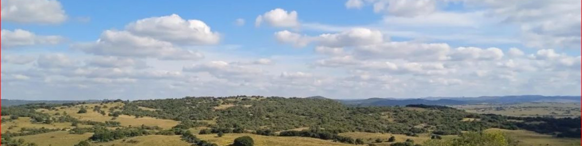 MALDONADO - Venta de campo con costa !! Zona de Aiguá