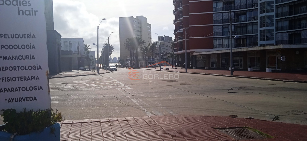 Península - GoPunta - Portal Inmobiliario de Punta del Este - Maldonado