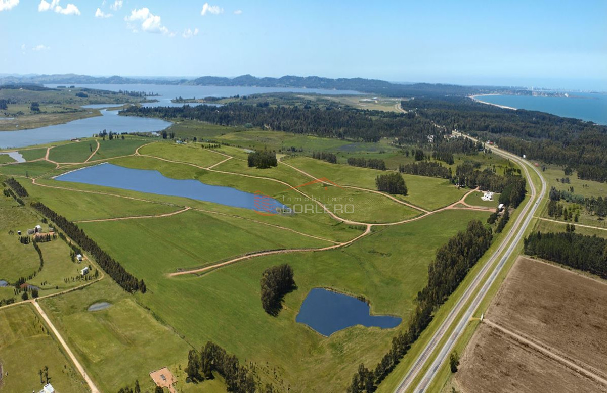 Laguna de los Cisnes - GoPunta - Portal Inmobiliario de Punta del Este - Maldonado