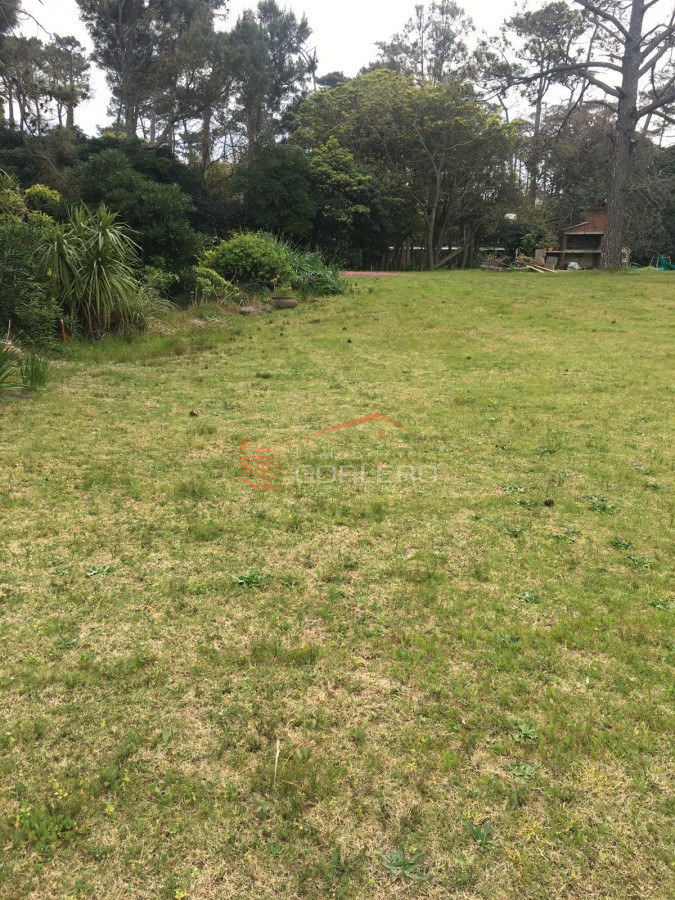 Pinares - GoPunta - Portal Inmobiliario de Punta del Este - Maldonado