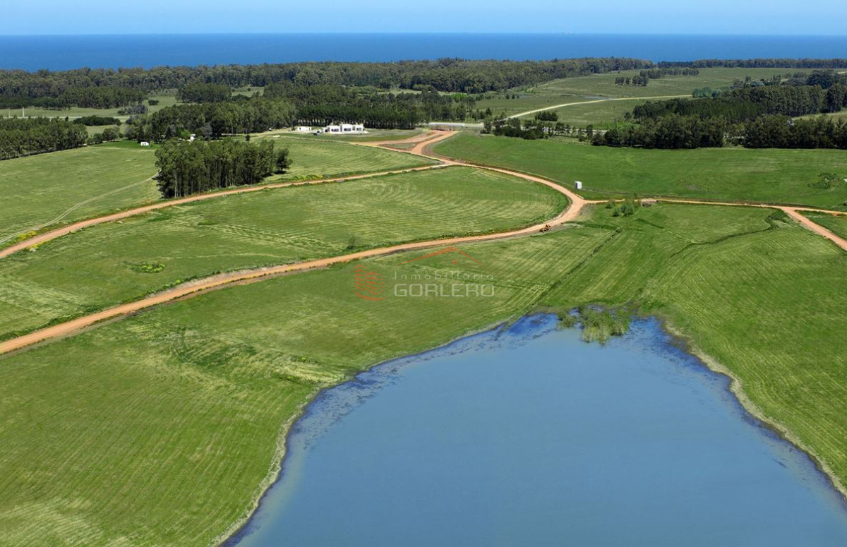 Laguna de los Cisnes - GoPunta - Portal Inmobiliario de Punta del Este - Maldonado