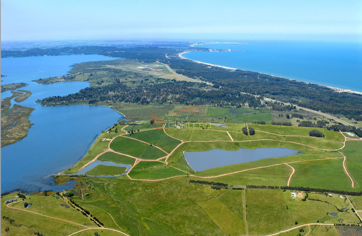Laguna de los Cisnes - GoPunta - Portal Inmobiliario de Punta del Este - Maldonado