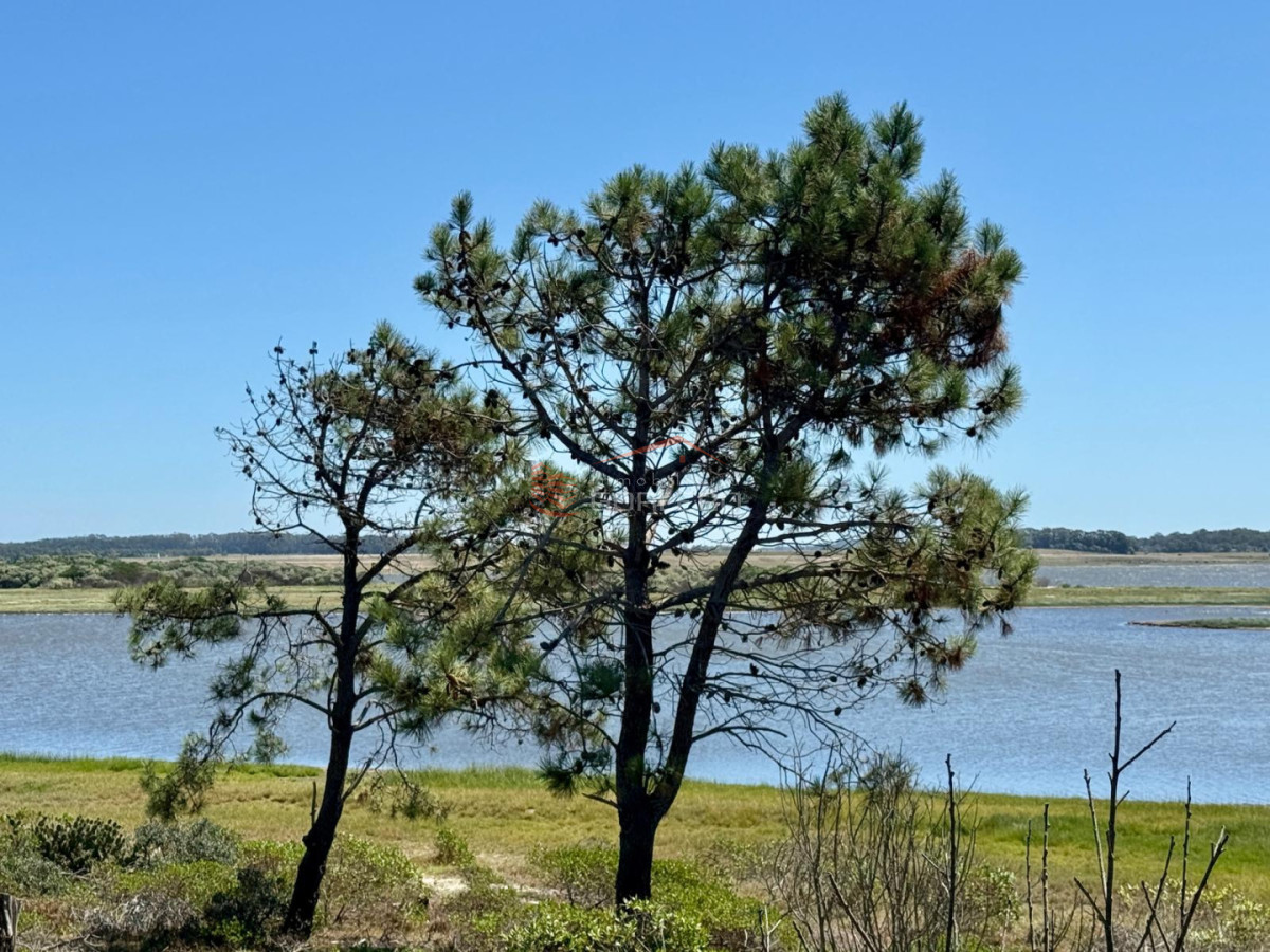 Venta de Terreno a metros del Puente Laguna Garzón con frente a Laguna Garzón  - GOR19614T