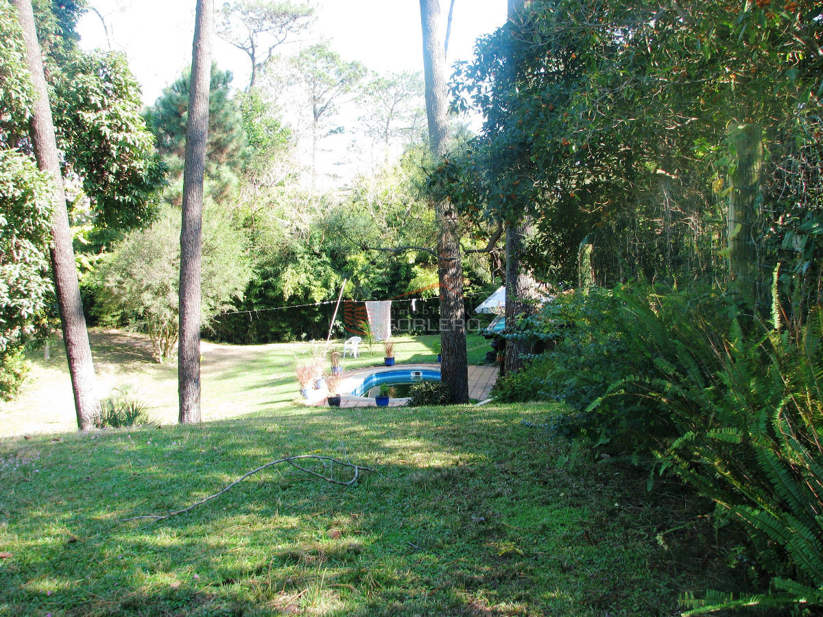 Pinares - GoPunta - Portal Inmobiliario de Punta del Este - Maldonado
