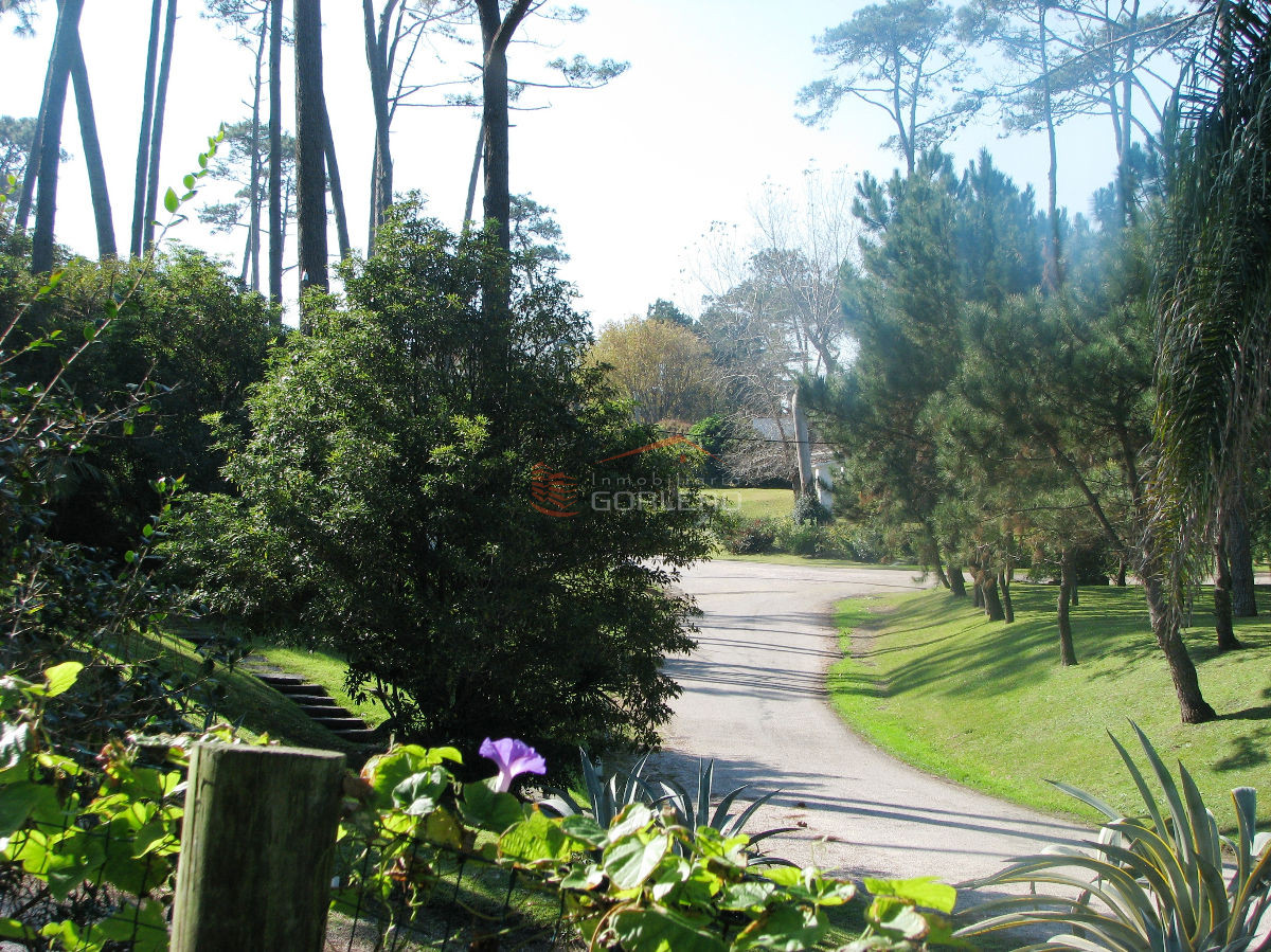 Pinares - GoPunta - Portal Inmobiliario de Punta del Este - Maldonado