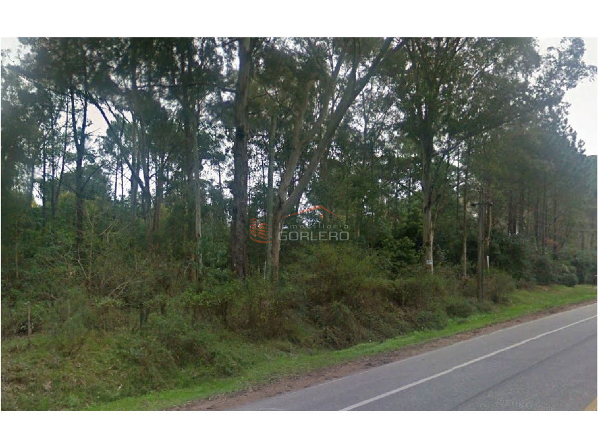 Venta de Terreno en Punta del este, zona Golf  sobre Avda principal, Apto varios Emprendimientos. - GOR20252T