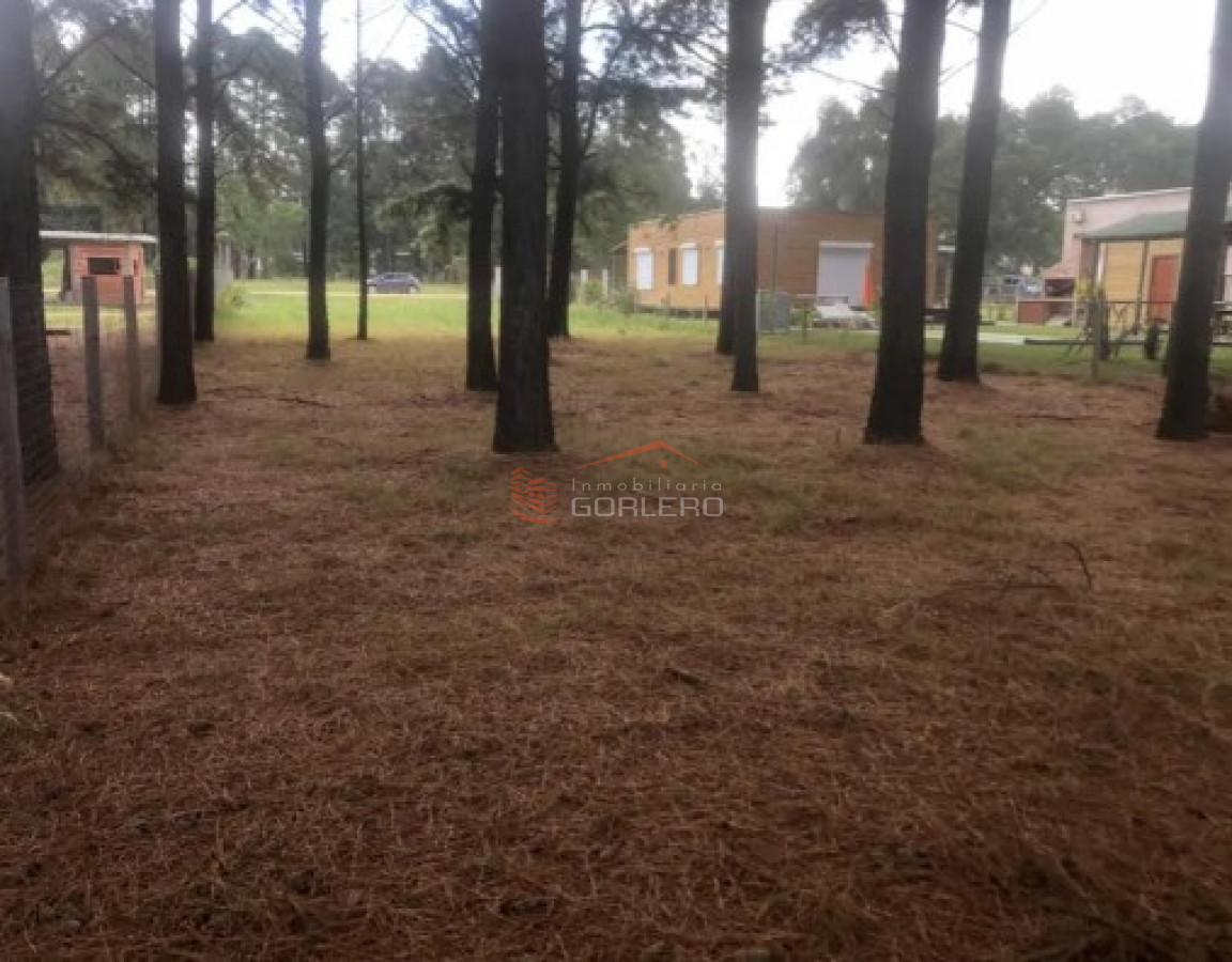 Chacras del Pinar - GoPunta - Portal Inmobiliario de Punta del Este - Maldonado