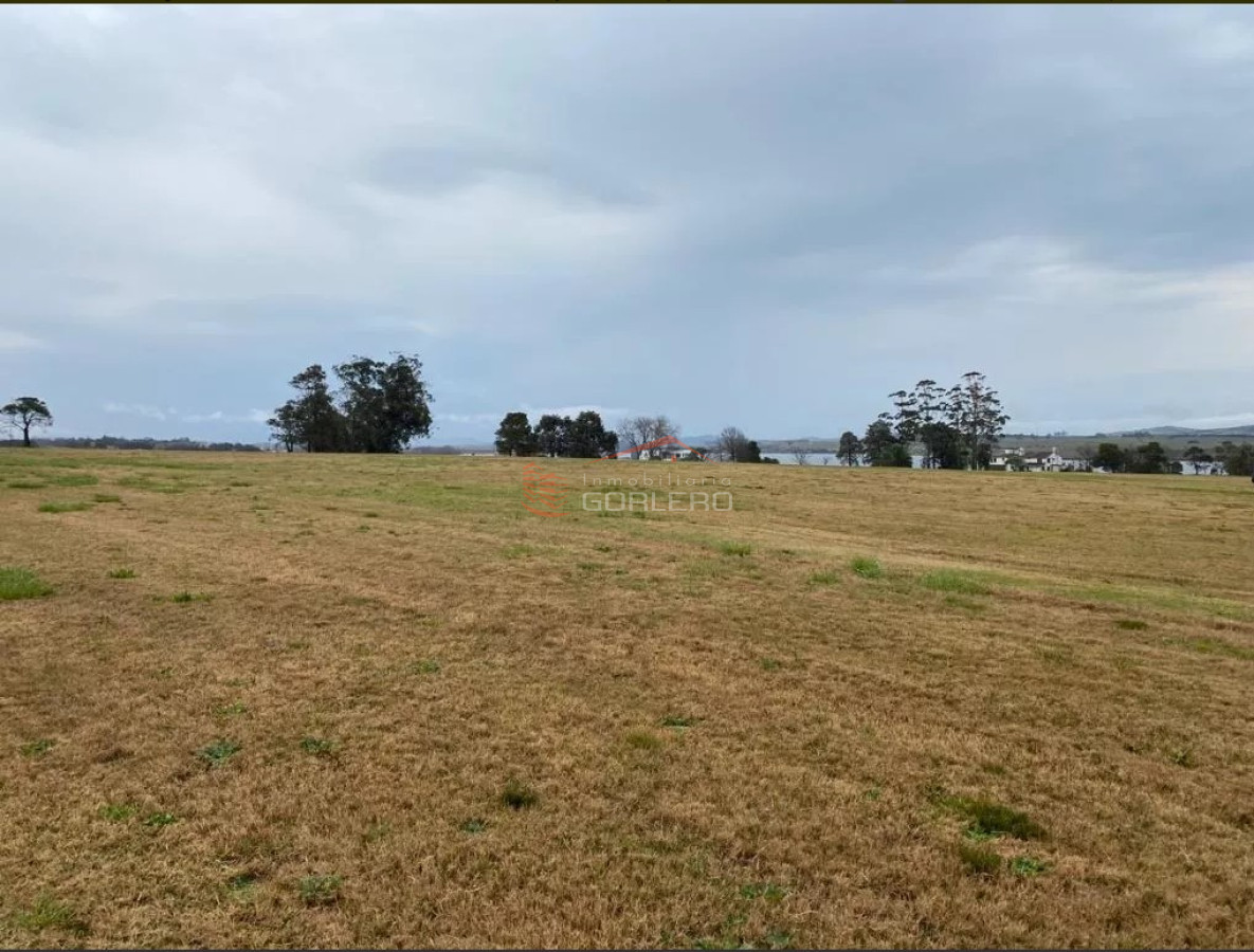 Laguna de los Cisnes - GoPunta - Portal Inmobiliario de Punta del Este - Maldonado