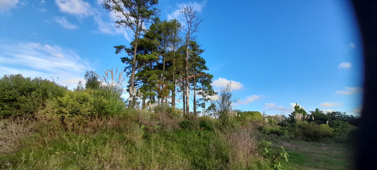 Altos de la Laguna - GoPunta - Portal Inmobiliario de Punta del Este - Maldonado