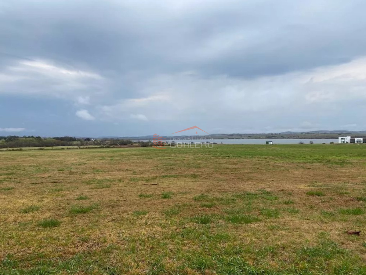 Laguna de los Cisnes - GoPunta - Portal Inmobiliario de Punta del Este - Maldonado