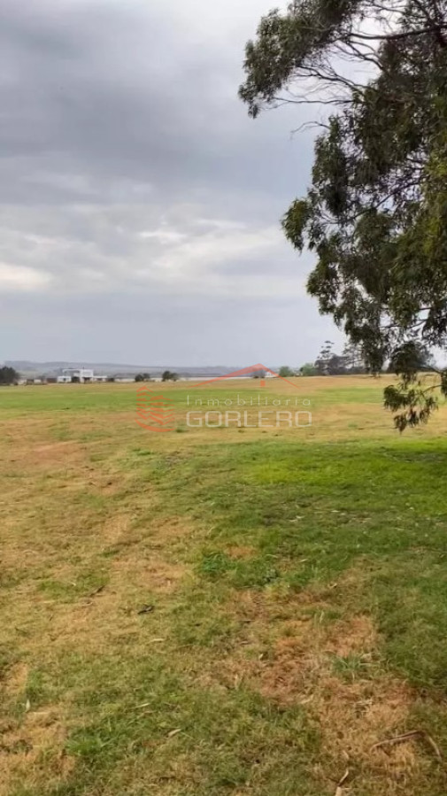Laguna de los Cisnes - GoPunta - Portal Inmobiliario de Punta del Este - Maldonado