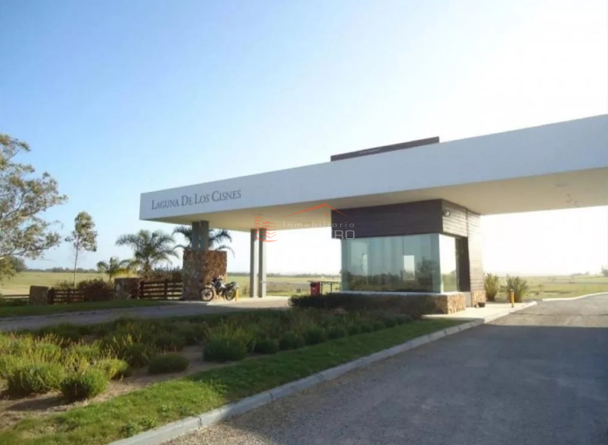 Laguna de los Cisnes - GoPunta - Portal Inmobiliario de Punta del Este - Maldonado