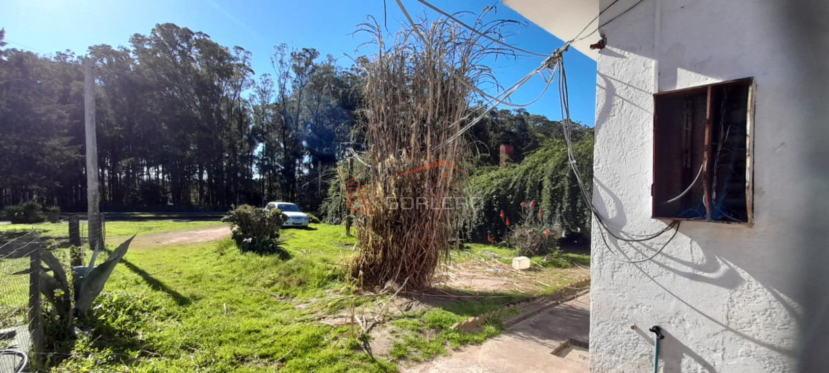 Camino Lussich - GoPunta - Portal Inmobiliario de Punta del Este - Maldonado