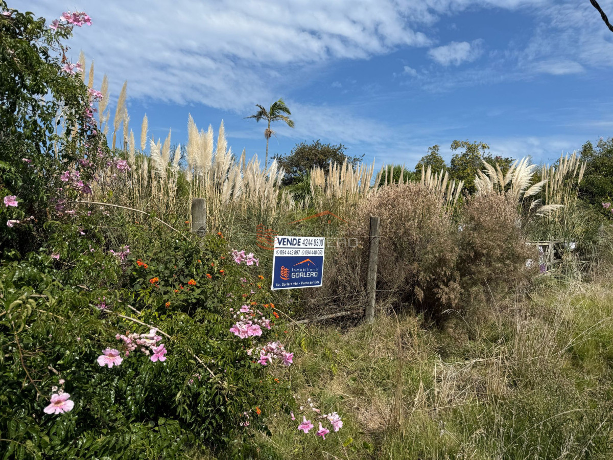 El Chorro - GoPunta - Portal Inmobiliario de Punta del Este - Maldonado