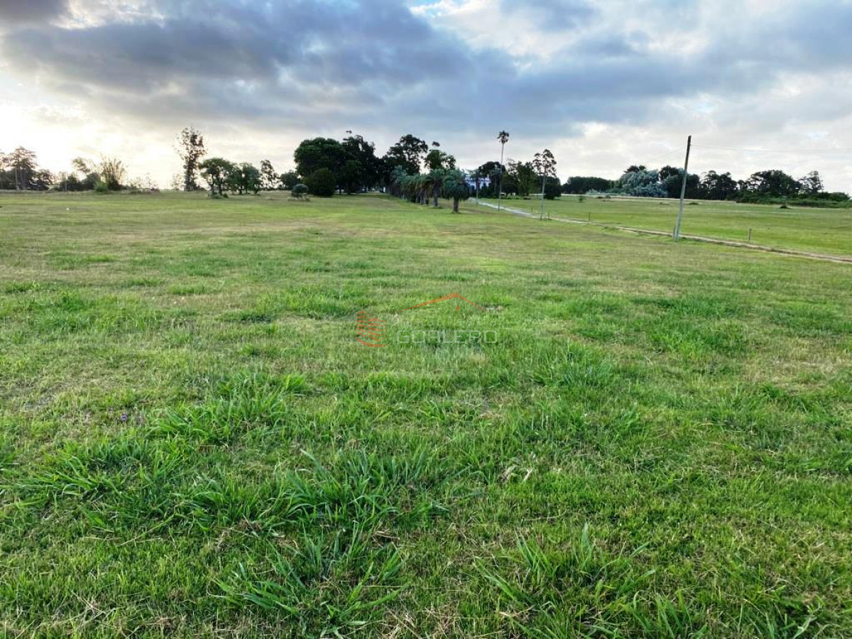 Hipodromo - GoPunta - Portal Inmobiliario de Punta del Este - Maldonado
