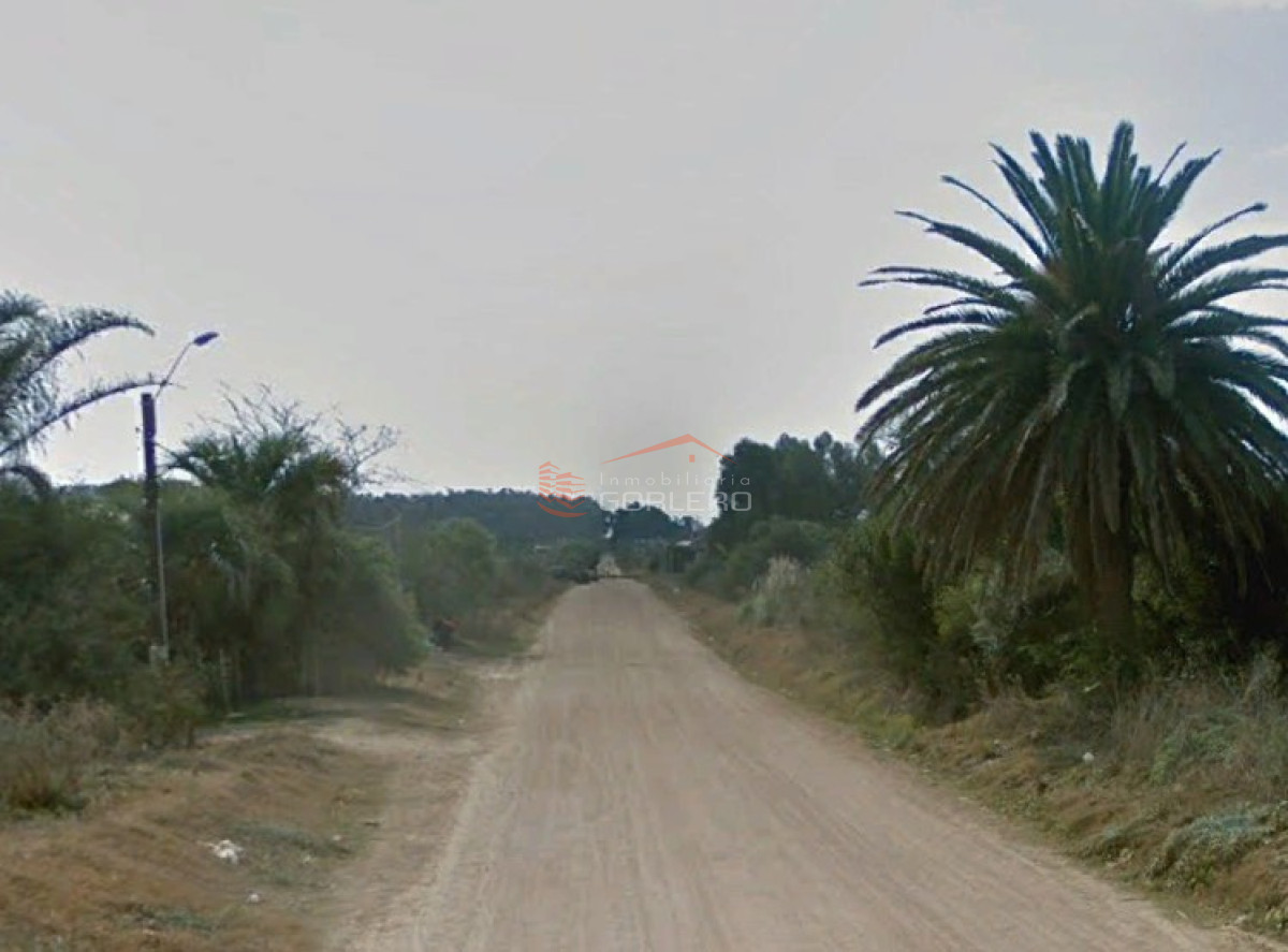 San Carlos - GoPunta - Portal Inmobiliario de Punta del Este - Maldonado