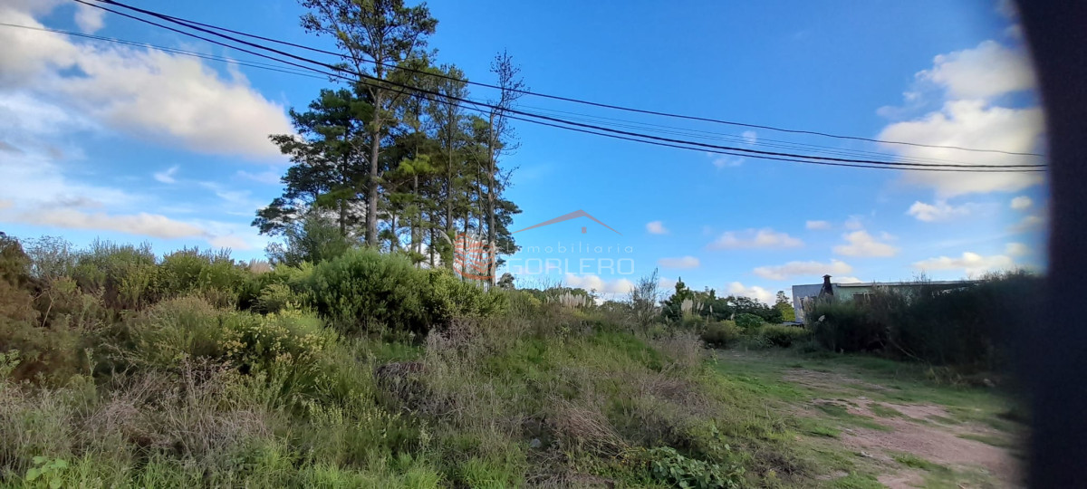Altos de la Laguna - GoPunta - Portal Inmobiliario de Punta del Este - Maldonado