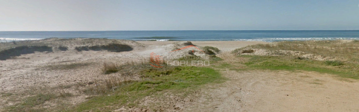 Arachania - GoPunta - Portal Inmobiliario de Punta del Este - Maldonado