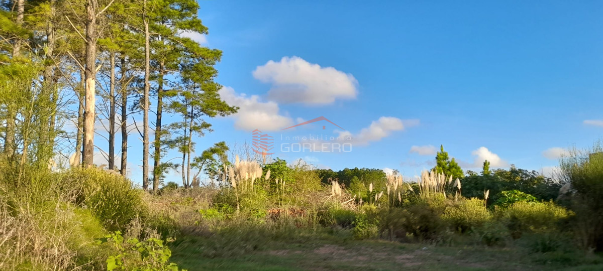 Altos de la Laguna - GoPunta - Portal Inmobiliario de Punta del Este - Maldonado